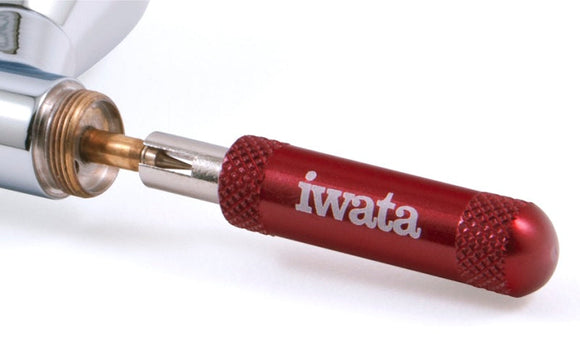 206404 IWATA Nozzle nyckel